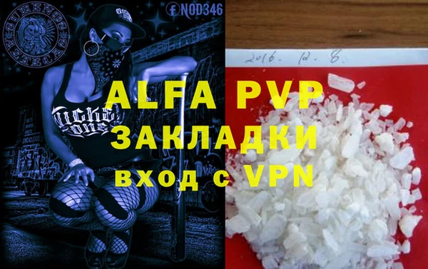 прущие грибы Кулебаки