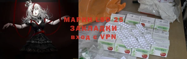 прущие грибы Кулебаки