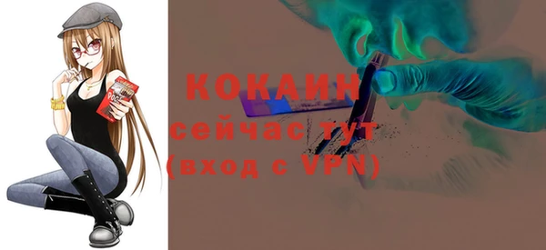 apvp Кукмор