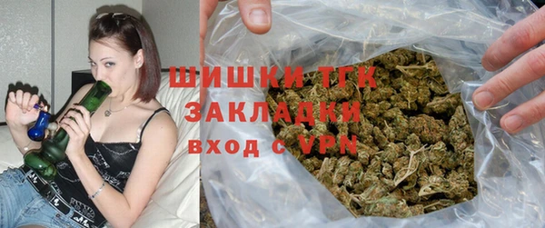 прущие грибы Кулебаки