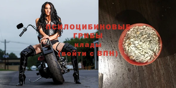прущие грибы Кулебаки