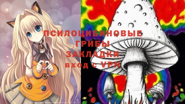 apvp Кукмор